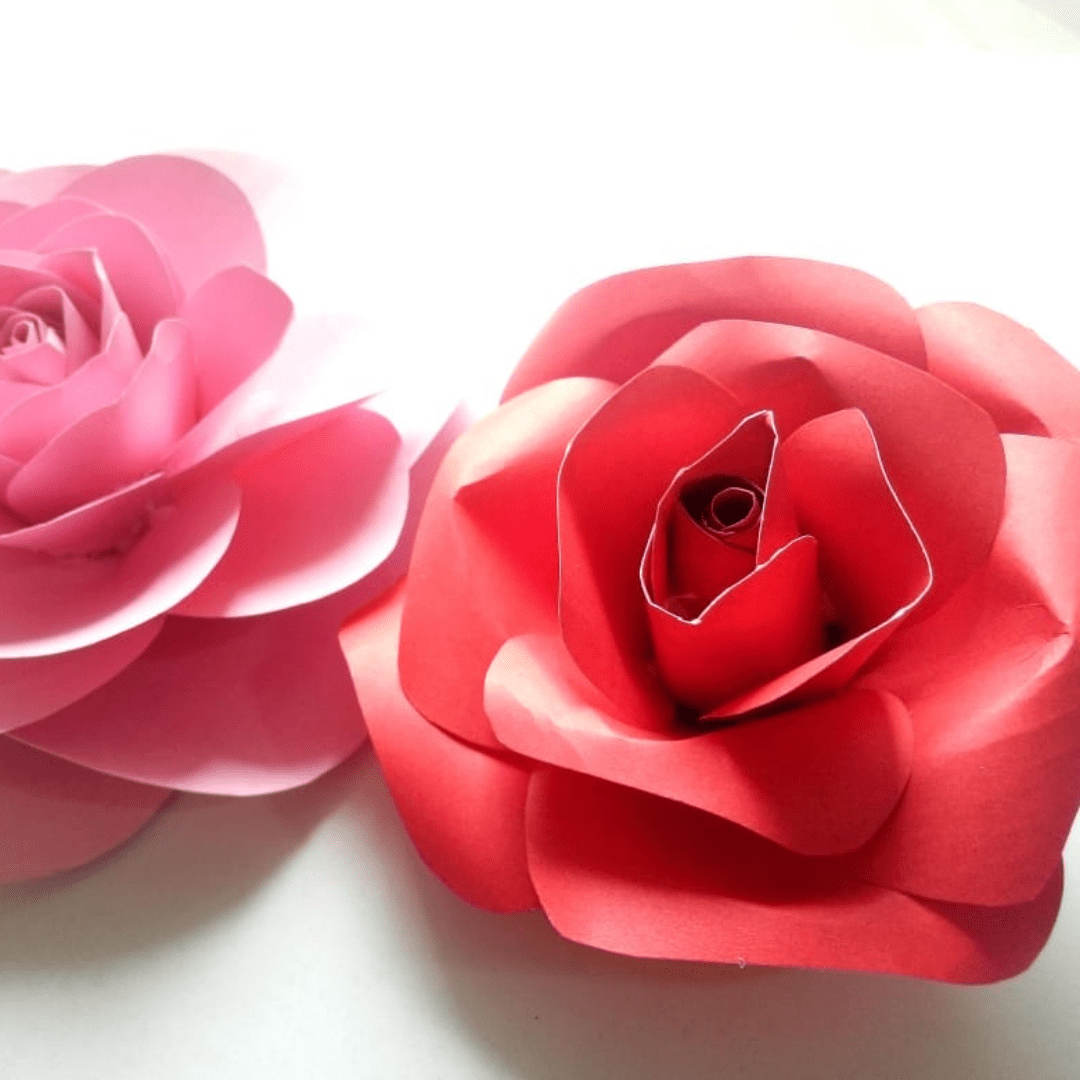 Untitled design (11)